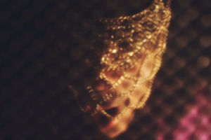 Audio : Prince "Let's Go Crazy" (Rehearsals 2013) Audio : Prince "Let's Go Crazy" (Rehearsals 2013)