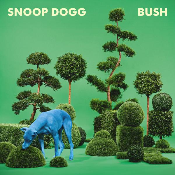 Bush_Album_Cover
